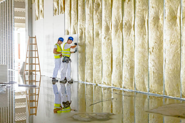 Best Energy Efficiency Insulation in San Juan Bautista, CA